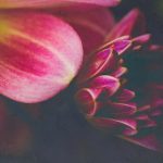 线上赌博开户注意事项:避免常见陷阱与风险分析 qo18fa