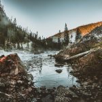 缅甸果博开户攻略:新手必读的注册与玩法指南 xk20msoe